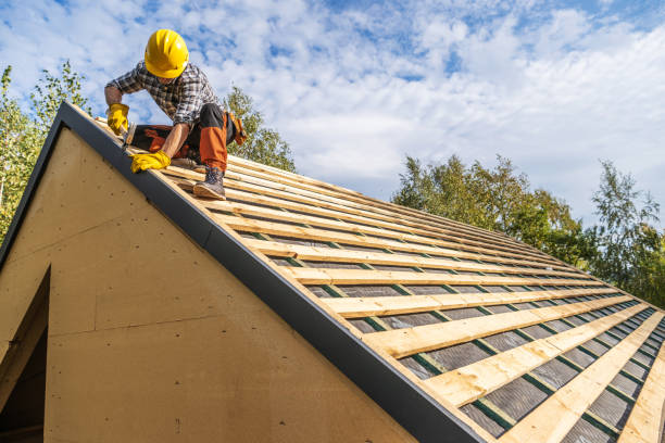 Best Roof Repair Services  in New Rockford, ND