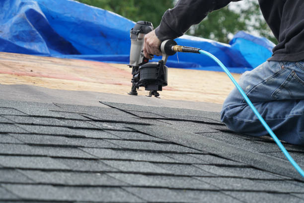 Best Roof Maintenance Services  in New Rockford, ND